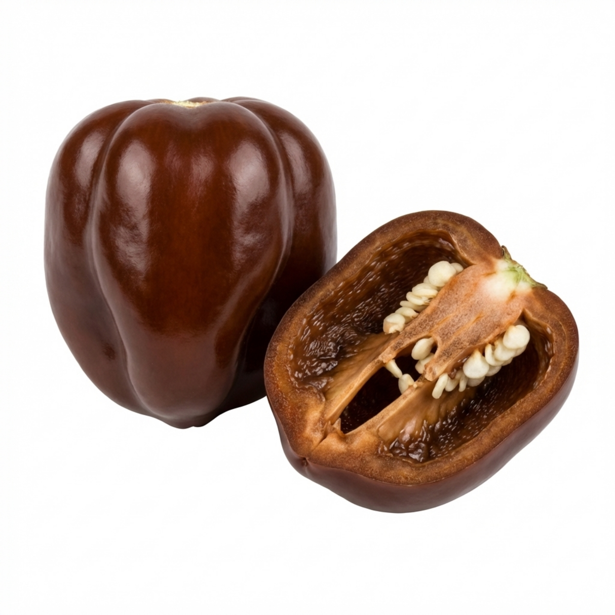 Capsicum chinense 'Habanero Chocolate' (Chilli) from Cedar Nursery, Cobham