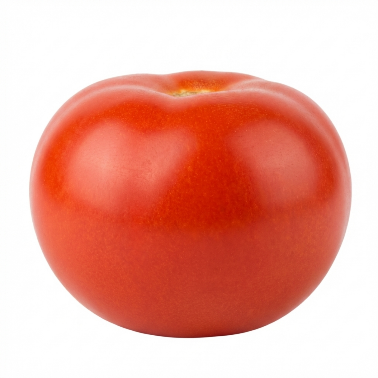 Tomato Alicante from Cedar Nursery, Cobham