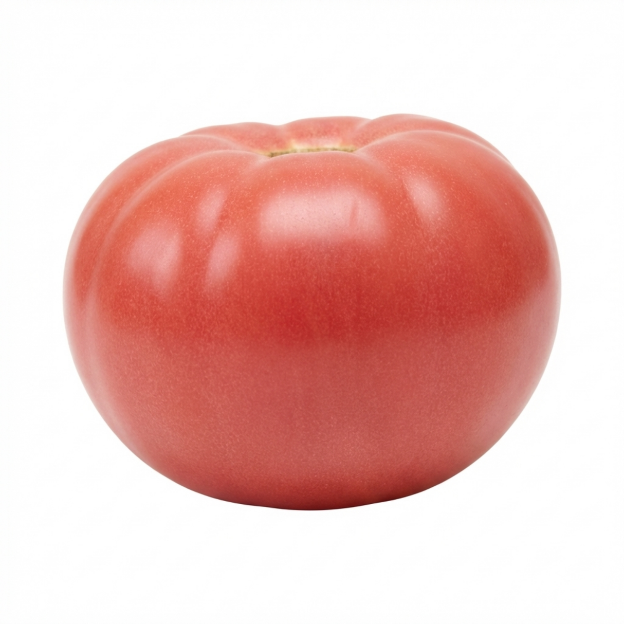 Tomato Brandy Boy from Cedar Nursery, Cobham