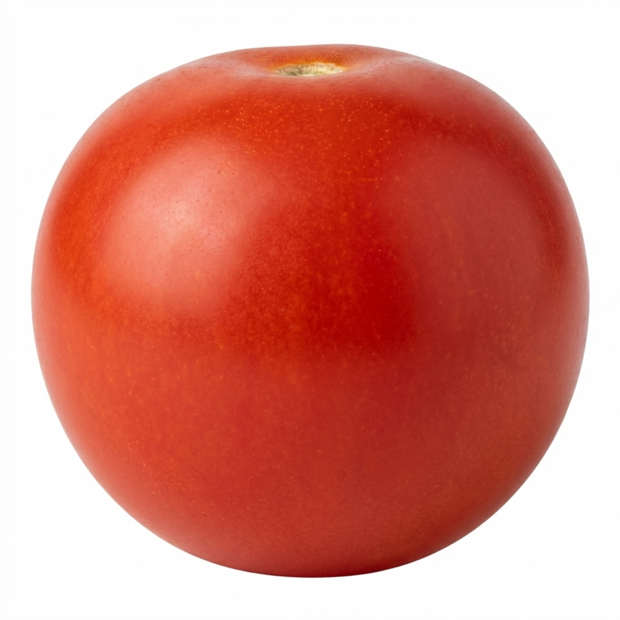 Tomato Crokini from Cedar Nursery, Cobham