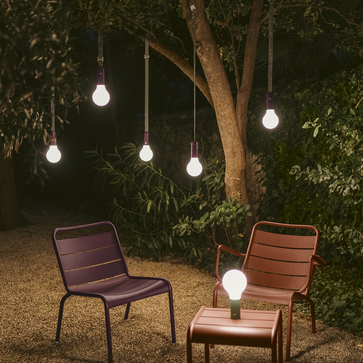 Aplo Lamp - Cedar Nursery - Plants and Outdoor Living