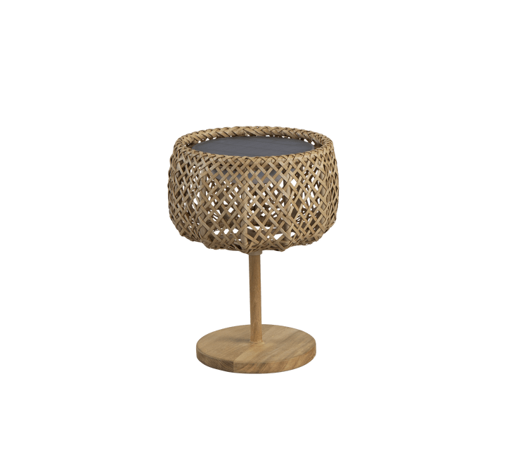 Illusion Glow Table Lamp - Cedar Nursery - Plants and Outdoor Living