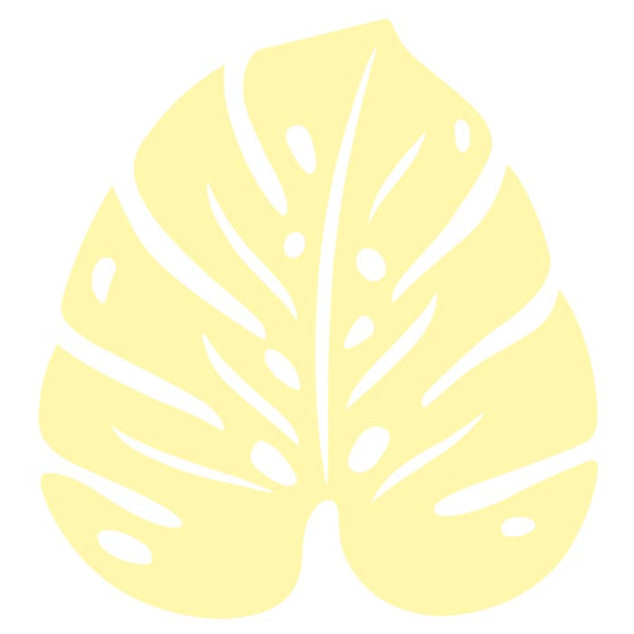 Monstera Trivet - Cedar Nursery - Plants and Outdoor Living