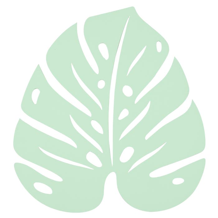 Monstera Trivet - Cedar Nursery - Plants and Outdoor Living