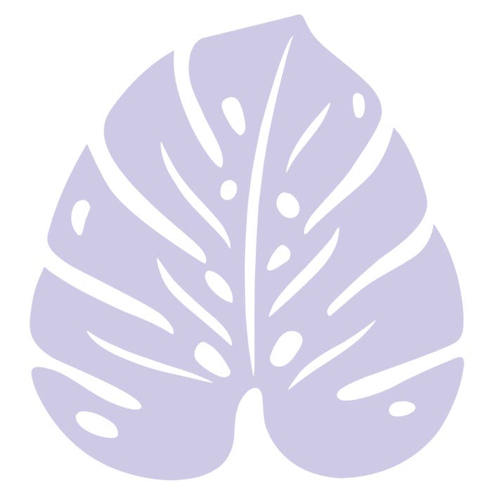 Monstera Trivet - Cedar Nursery - Plants and Outdoor Living