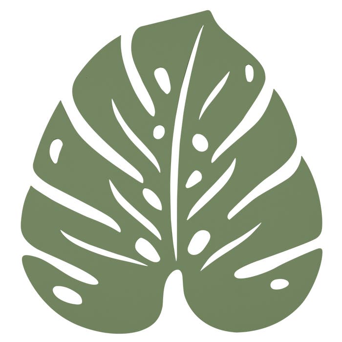 Monstera Trivet - Cedar Nursery - Plants and Outdoor Living