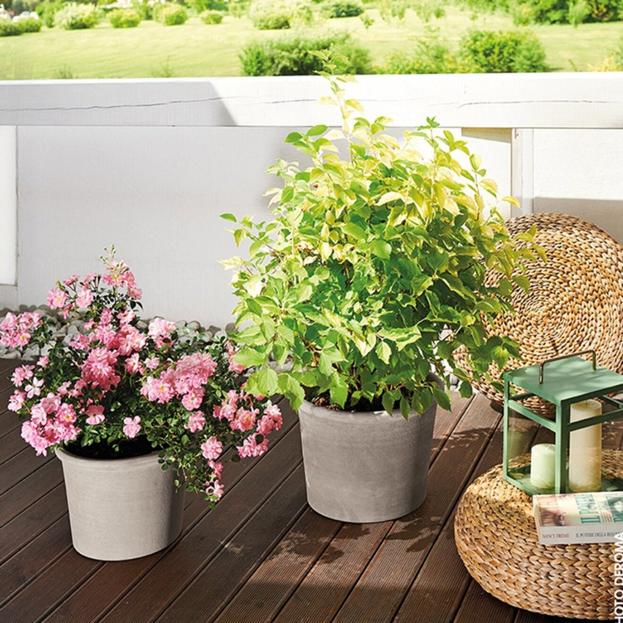 Terracotta Primitivo Cylinder Planter - Cedar Nursery - Plants and Outdoor Living