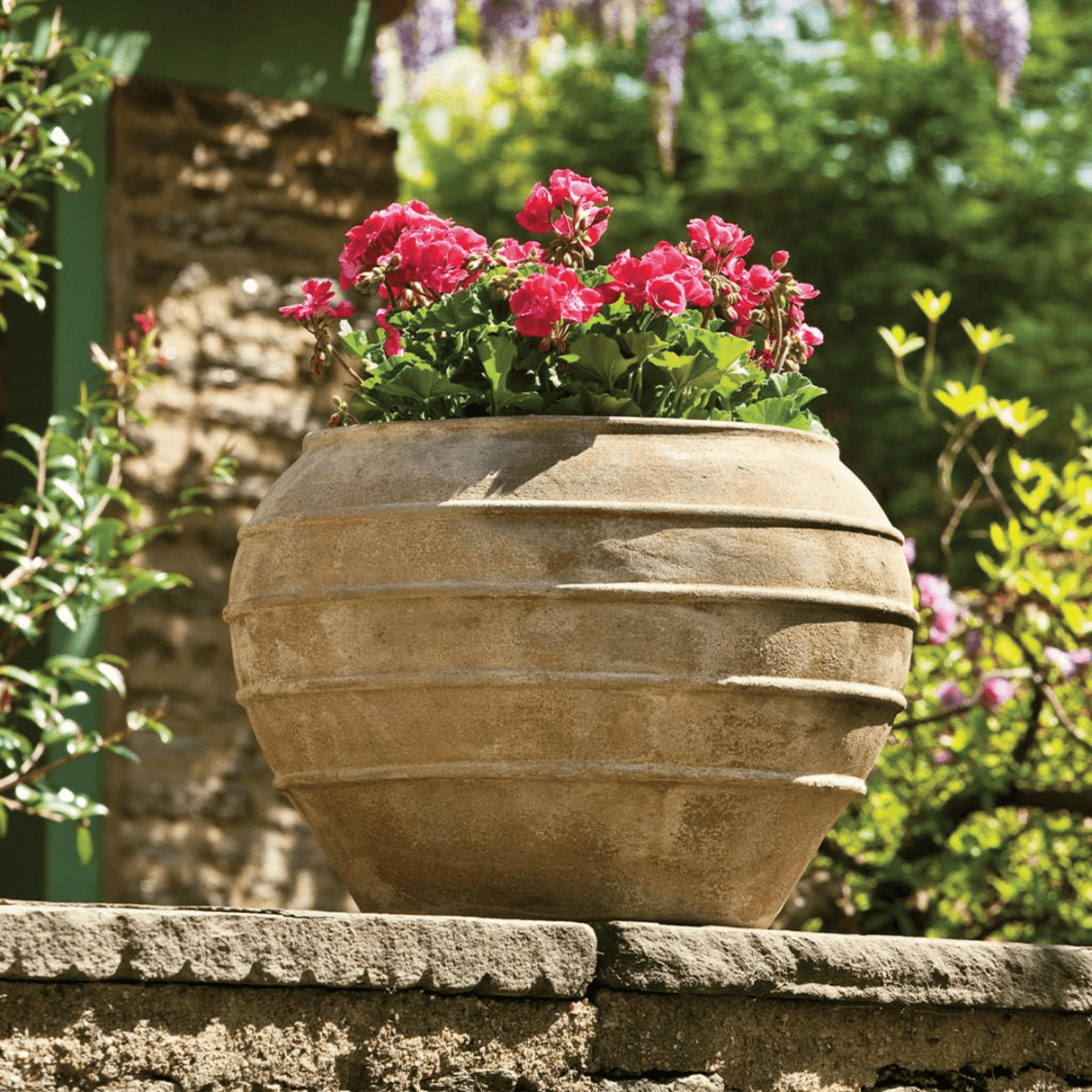 Thea Terracotta Planter - Cedar Nursery - Plants and Outdoor Living