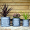 Ex-display Fibreclay Chelsea Cylinder Planter - Cedar Nursery - Plants and Outdoor Living