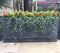 Fibreglass Brompton Trough Planter - Cedar Nursery - Plants and Outdoor Living