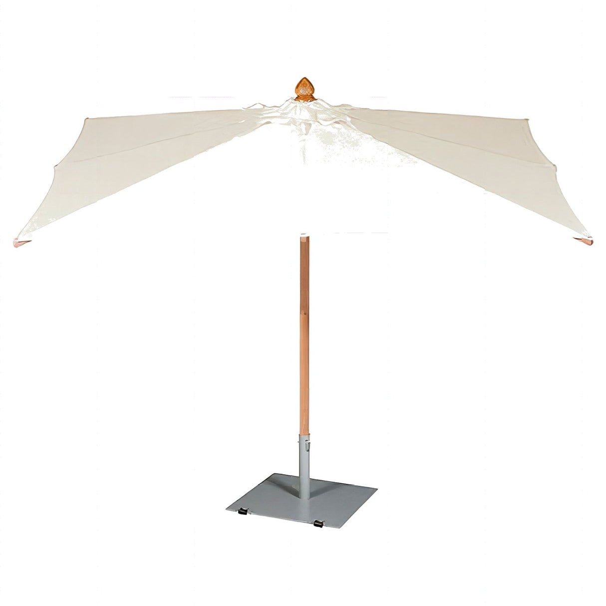 Napoli Parasol - Cedar Nursery - Plants and Outdoor Living