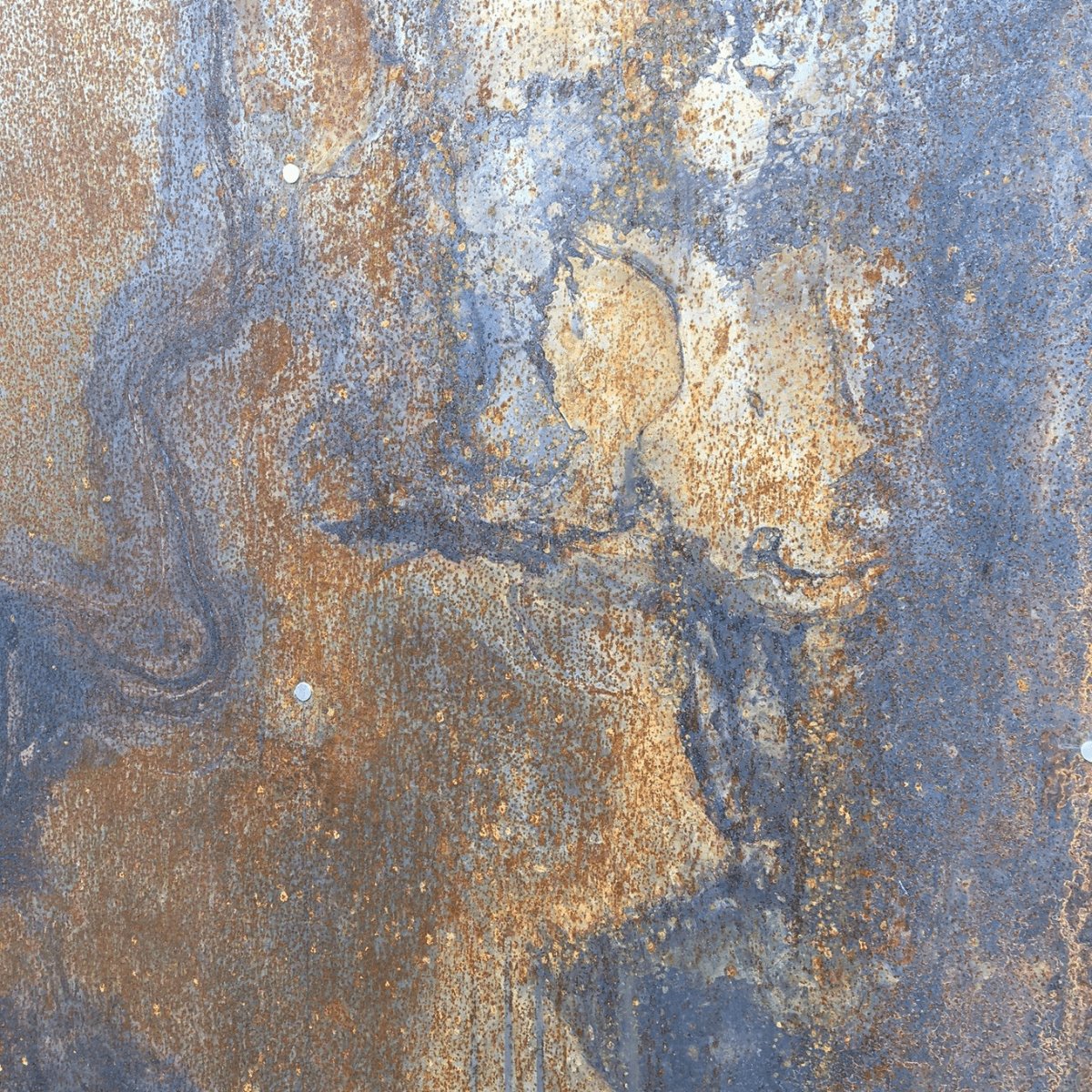 Oak and Corten Steel Garden Snug - Cedar Nursery - Plants and Outdoor Living