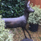 Roe Deer Sculpture - Cedar Nursery - Plants and Outdoor Living