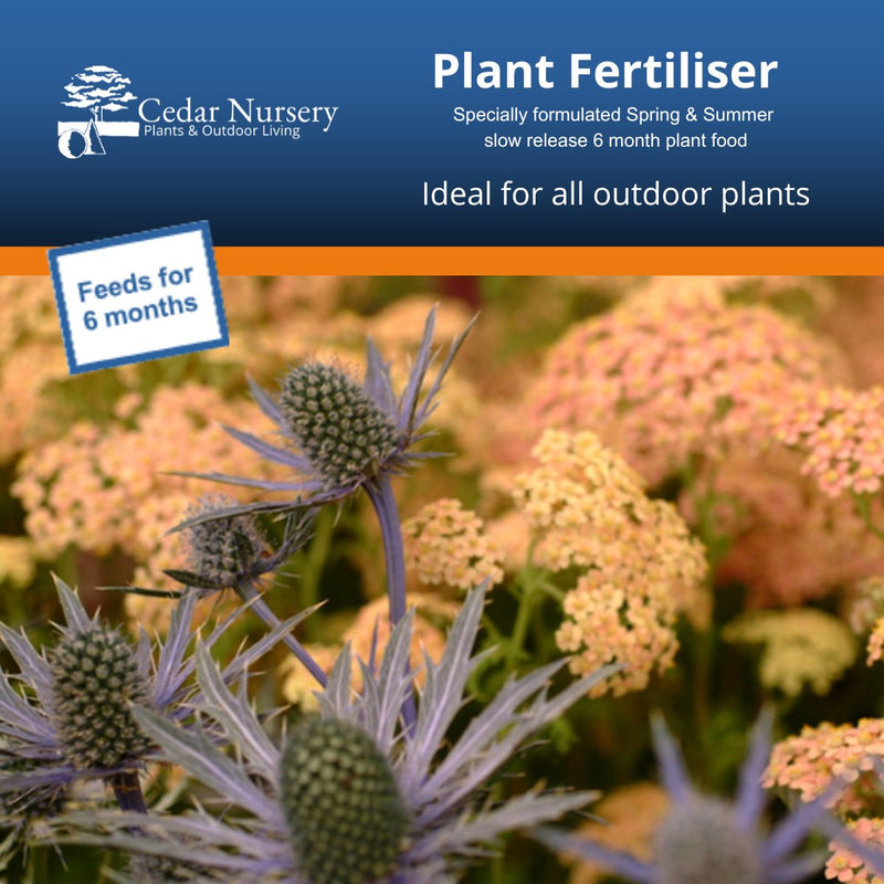 Spring and Summer Feed For Garden Plants - Cedar Nursery - Plants and Outdoor Living