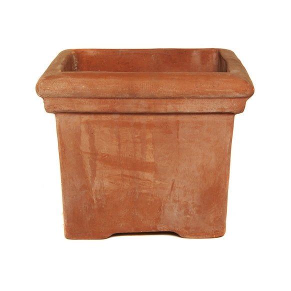 Terracini Baytree Square Planter - Cedar Nursery - Plants and Outdoor Living