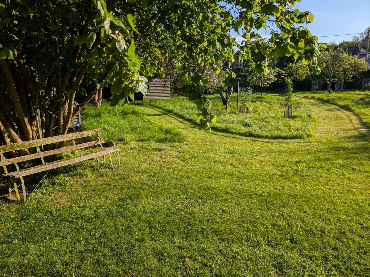 Weathered wooden garden bench beneath a leafy tree in a sunlit lawn with a mown grass path leading into a cottage garden.
