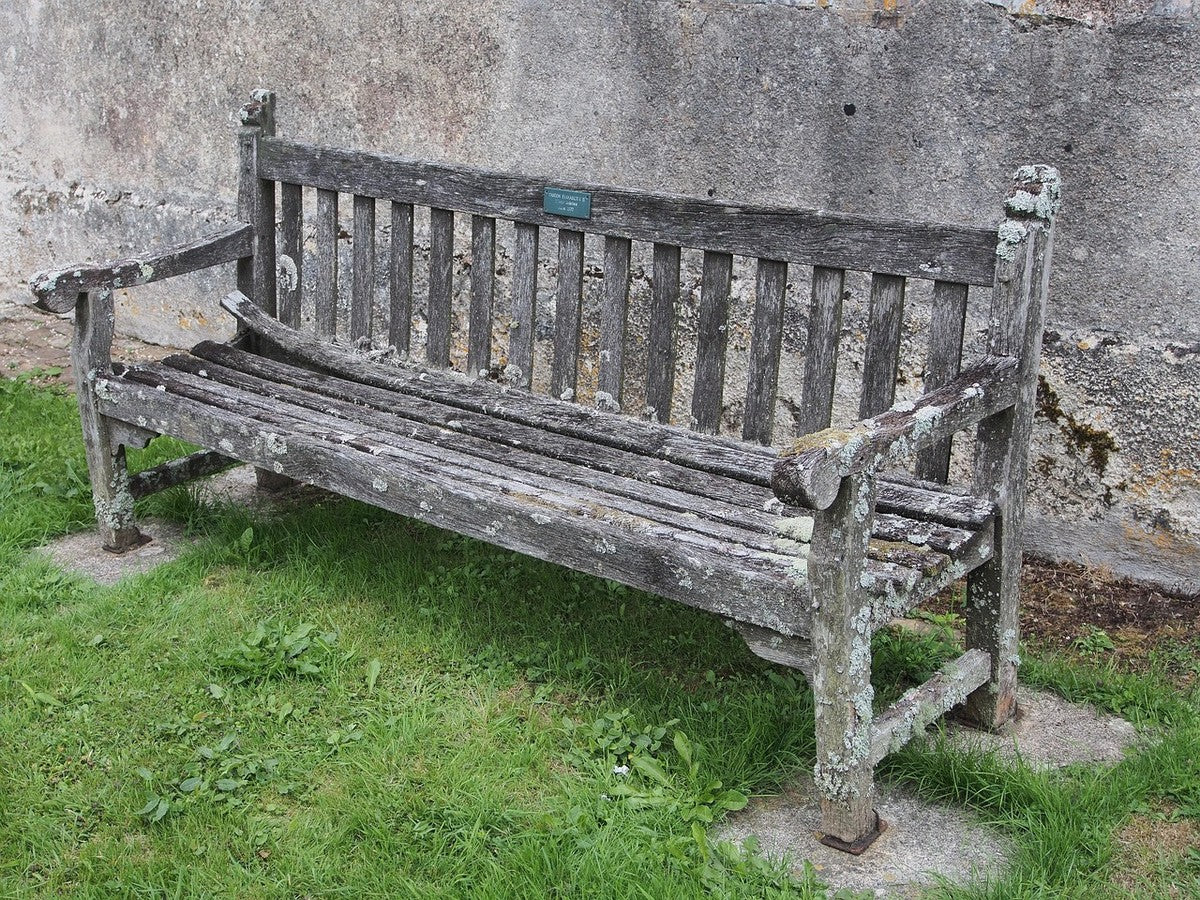 A weathered teak memorial bench with a brass plaque beneath an apple tree in a British garden
