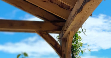 A shaded garden patio with a louvred pergola and lush climbing plants at Cedar Nursery, Cobham, Surrey