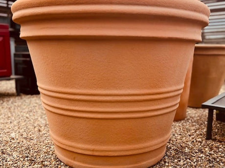 Extra large weatherproof bespoke planter with architectural planting in a Surrey garden, Cedar Nursery
