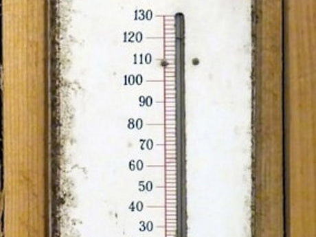 A beautifully designed outdoor wellness garden with a sauna and natural planting in Surrey