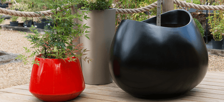 Fibreglass Planters: Stylish, Durable & Designed for Your Space - Cedar Nursery - Plants and Outdoor Living