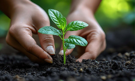 gardening and the benfits to your mental health