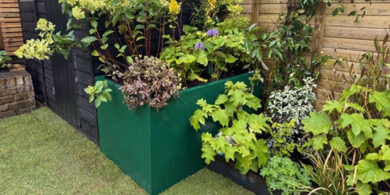 Green garden planters from Cedar Nursery, Surrey