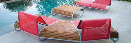 Tandem from Ego Paris - Cedar Nursery - Plants and Outdoor Living