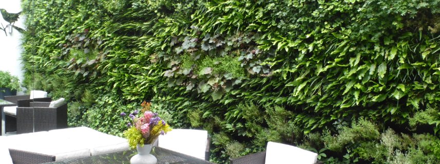 Vertical Wall Planters - Cedar Nursery - Plants and Outdoor Living