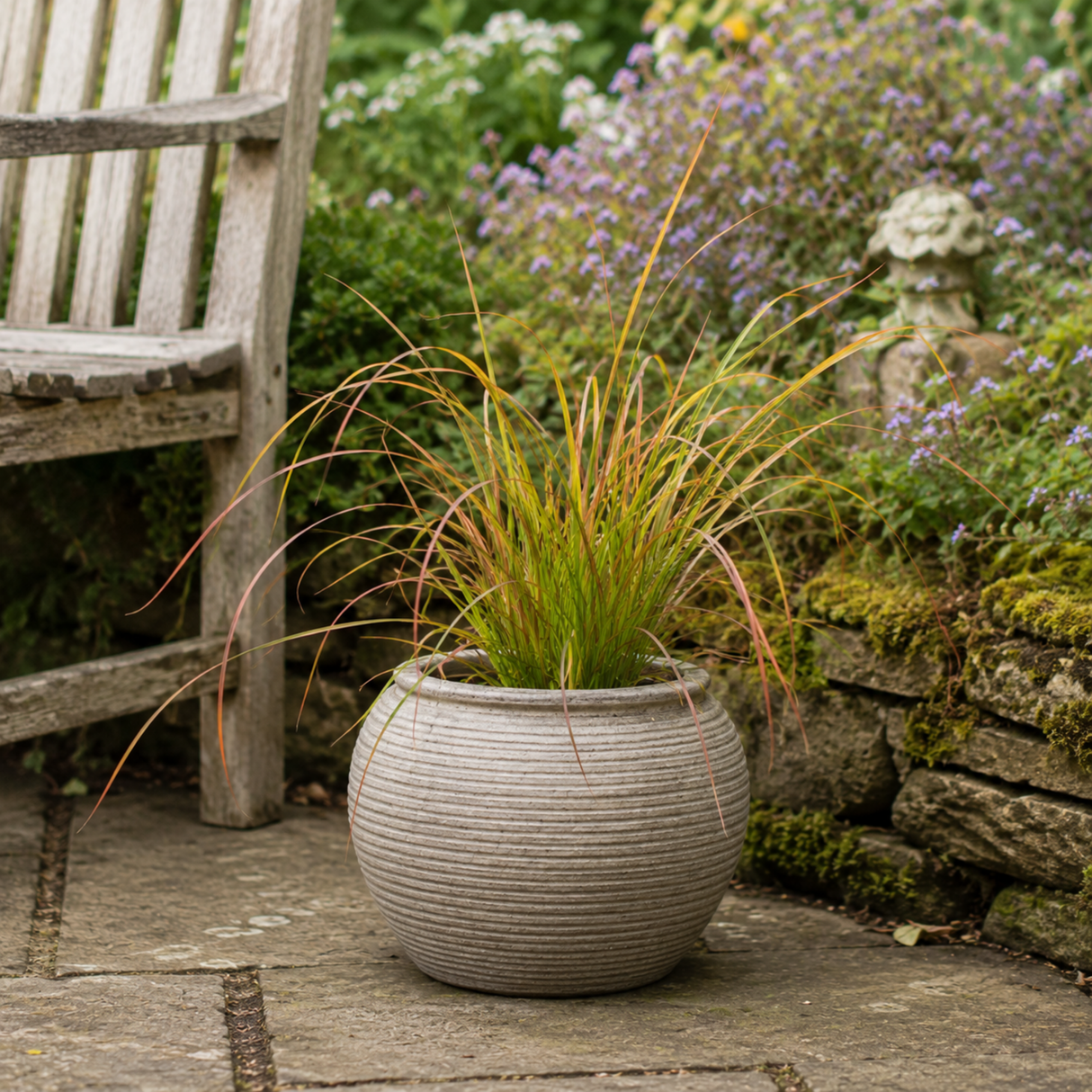 Carex testacea 'Prairie Fire' forming a fountain-like clump of slender, arching foliage in coppery orange and green.