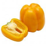 Further views of the Sweet Pepper 'Liberty Belle' F1 grow-your-own vegetable plant in its 2 litre root ball.