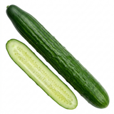 Further views of the Cucumber 'Burpless Tasty Green' F1 garden ready plant and its 2 litre root ball.