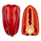 Additional views of the Sweet Pepper 'Thor' F1 live plant in its 2Ltr root ball at Cedar Nursery, Cobham, Surrey.