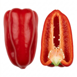 Additional views of the Sweet Pepper 'Thor' F1 live plant in its 2Ltr root ball at Cedar Nursery, Cobham, Surrey.