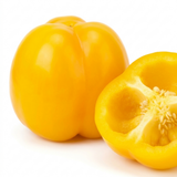 Sweet Pepper 'Snack Yellow' F1 grow-your-own plant, 2 litre root ball, photographed at Cedar Nursery, Cobham, Surrey.