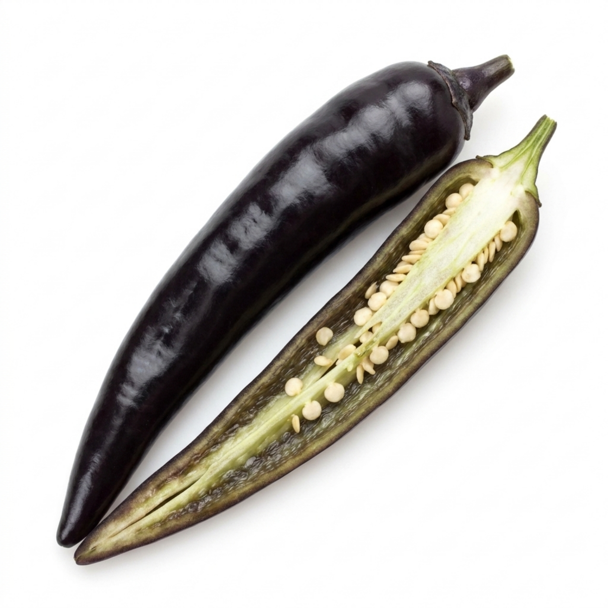 Capsicum annuum 'Zimbabwe Black' (Chilli) from Cedar Nursery, Cobham