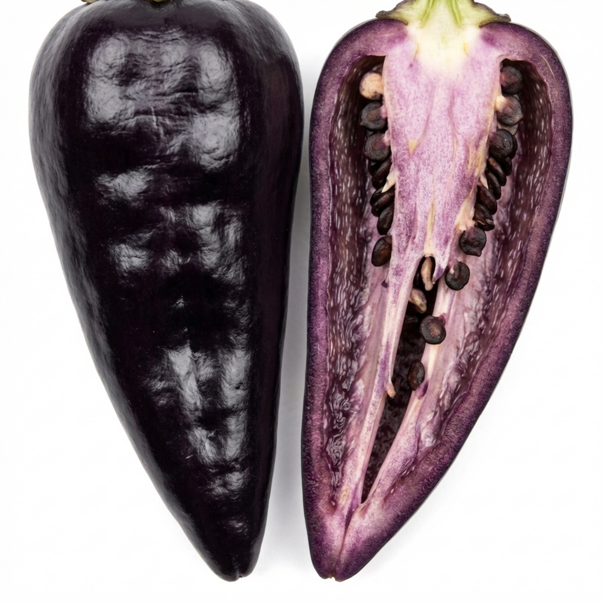 Capsicum annuum 'Zimbabwe Black' (Chilli) from Cedar Nursery, Cobham