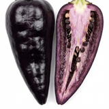 Capsicum annuum 'Zimbabwe Black' (Chilli) from Cedar Nursery, Cobham