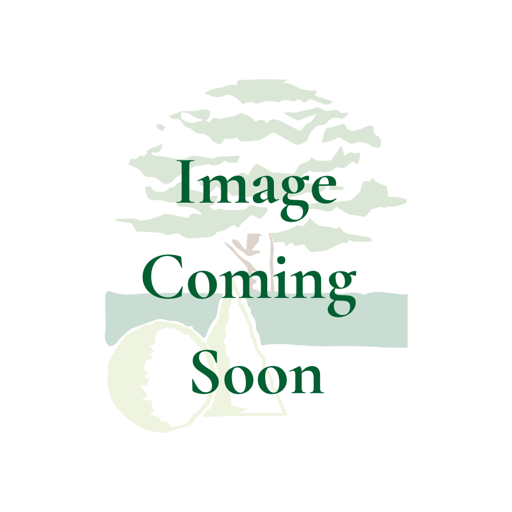 Lorette Oval Table