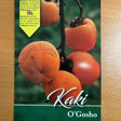Persimmon Diospyros kaki 'O'Gosho'