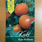 Diospyros kaki 'Rojo Brillante'
