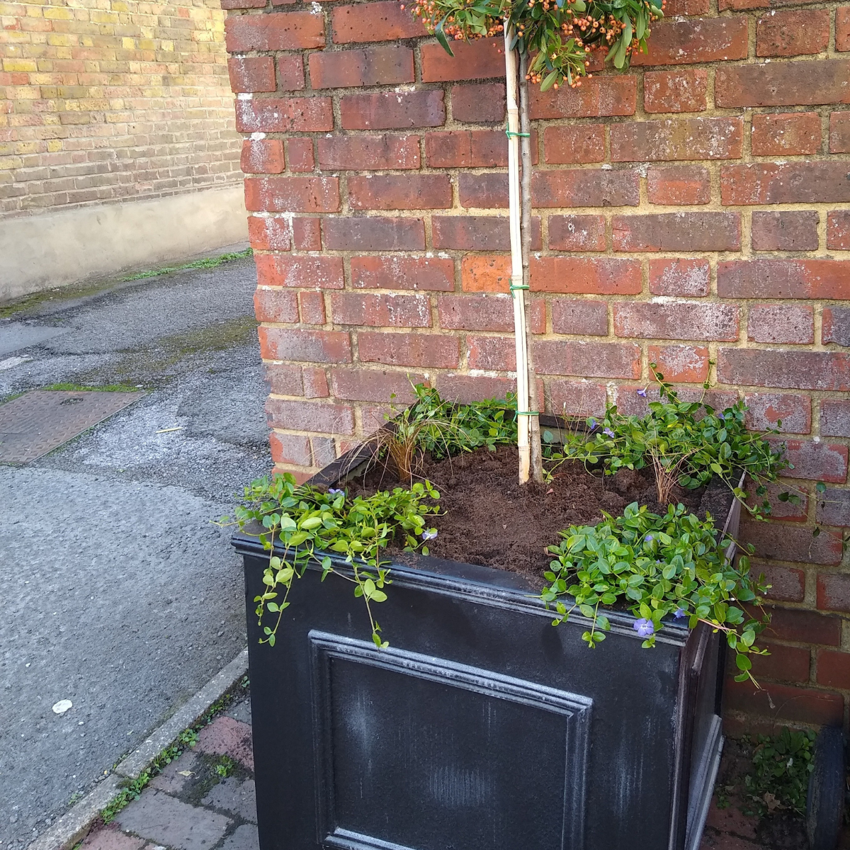 Bespoke planters for local council