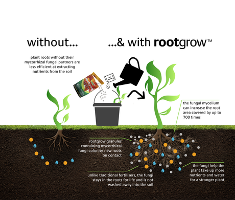 Rootgrow With Gel Sachet