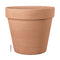 Buy Terracotta Magno Planter online from Cedar Garden Nursery, Surrey
