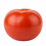 Tomato Alicante from Cedar Nursery, Cobham