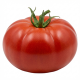 Tomato Bush Steak (Megabyte) from Cedar Nursery, Cobham