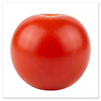 Tomato Gardeners Delight from Cedar Nursery, Cobham