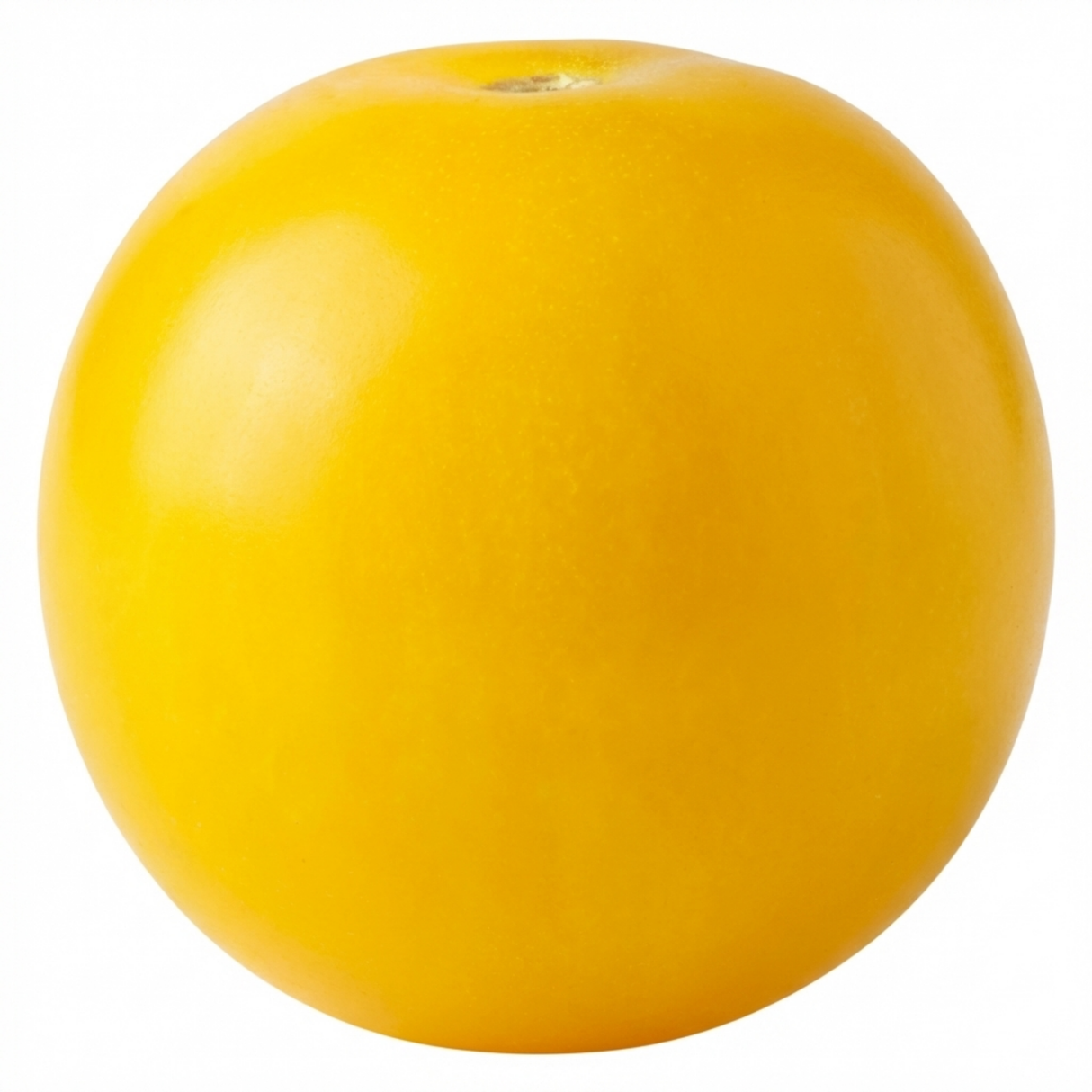 Tomato Lemon Sherbet from Cedar Nursery, Cobham