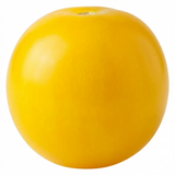 Tomato Lemon Sherbet from Cedar Nursery, Cobham