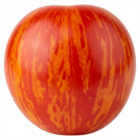 Tomato Ricola Fire & Lightning from Cedar Nursery, Cobham